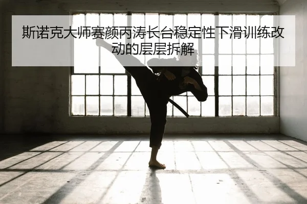 si-nuo-ke-da-shi-sai-yan-bing-tao-zhang-tai-wen-ding-xing-xia-hua-xun-lian-gai-dong-de-ceng-ceng-chai-jie-2-451.jpg
